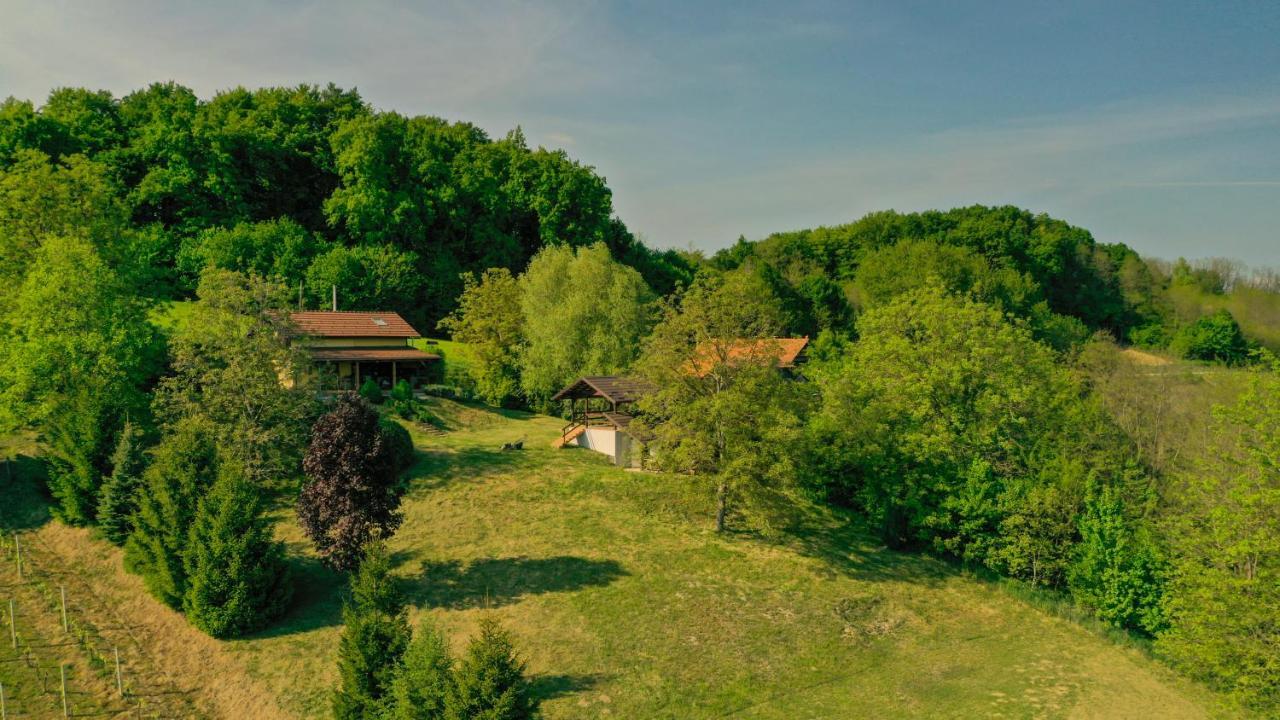 Green Hills Cottage In Zagorje With Magnificent View Ravnice-Desinicke Exterior photo