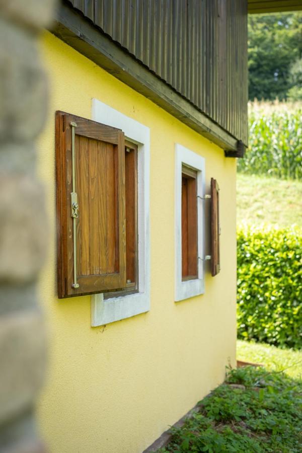 Green Hills Cottage In Zagorje With Magnificent View Ravnice-Desinicke Exterior photo